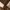 COLORBOX Casual Cardigan Wanita brown photo 4