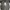Streetwear Sportswear Sneakers Pria white green photo 5