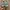 Asics Casual Sneakers Pria multicolor photo 4
