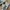 Asics Casual Sneakers Pria multicolor photo 2