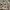 Japanese brand Vintage Streetwear T-shirt Pria tan photo 2