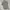 Uniqlo Casual Polo shirt Pria gray photo 2