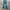Levi's Vintage Streetwear Flare pants Wanita blue photo 1