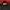 Adidas Outerwear Kids red black photo 8