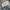 Japanese brand Vintage Y2K Bag Pria cream photo 6