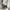 Volcom Streetwear Skater Hoody Pria gray photo 7