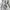 Volcom Streetwear Skater Hoody Pria gray photo 2