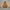 Outerwear Kids brown orange photo 1