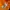Outerwear Kids brown orange photo 8