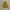 GAP Outerwear Kids Green Yellow