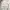 Descente Casual Sweatshirt Pria white gray photo 5