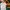 Casual Sweatshirt Pria green photo 5
