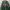 Casual Sweatshirt Pria Green