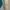 Millet Outerwear Kids green cream photo 8