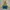 Millet Outerwear Kids Green Cream