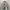 Pelle Pelle Casual Sweatshirt Pria gray photo 1