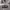 Pelle Pelle Casual Sweatshirt Pria gray photo 5