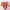Vintage Wanita pink photo 2