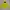 Outerwear Kids yellow photo 1