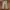 Vintage Culotte Wanita tan photo 1