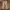 Vintage Culotte Wanita Tan