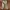 Vintage Culotte Wanita Tan
