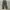 Uniqlo Streetwear Indie Casual pants Pria green photo 3