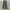 Uniqlo Streetwear Indie Casual pants Pria green photo 1