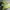 Sportswear Pria green photo 1