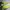 Sportswear Pria Green