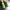 Sportswear Pria green photo 3