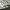 Burberry Luxury T-shirt Pria white photo 8