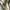 Burberry Luxury T-shirt Pria white photo 6