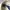 Polo Ralph Lauren Y2K Casual Harrington jacket Pria white cream photo 5