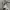 Starter Vintage Sweatshirt Pria gray photo 4