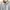 Baracuta Vintage Harrington Jacket Pria White