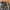 Adidas Streetwear Sportswear Tracksuit Pria white black photo 7