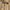 Hangten Minimalist Fleece Pria tan brown photo 5