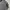 Carhartt Casual Harrington jacket Pria multicolor photo 5