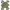 Streetwear Casual Windbreaker Pria Green