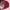 Streetwear Hat Pria red photo 2