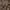 H&M Streetwear Gorpcore Casual Pants Pria Brown
