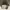 Guess Luxury Minimalist Crossbody Bag Wanita white black photo 3