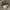 Guess Luxury Minimalist Crossbody Bag Wanita white black photo 1
