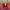 H&M Y2K Crop top Wanita pink orange photo 2