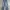 Tommy Hilfiger Vintage Streetwear Jeans Pria blue photo 2