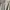 Polo Ralph Lauren Casual Formal shirt Pria tan photo 2