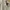 Polo Ralph Lauren Casual Formal shirt Pria tan photo 4