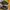 Vans Streetwear Sportswear Sneakers Wanita white black photo 7