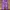 Forever 21 Skater Sportswear Tracksuit Pria purple white photo 3
